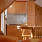 Apartment And Hodnik Slavko Bohinj