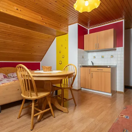 Apartment And Hodnik Slavko Bohinj