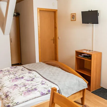 And Hodnik Slavko Apartment Bohinj
