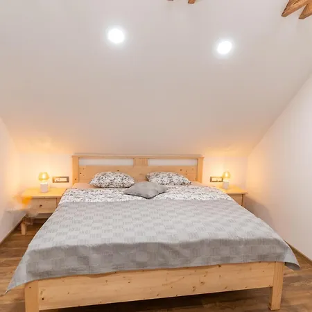 And Hodnik Slavko Διαμέρισμα Bohinj