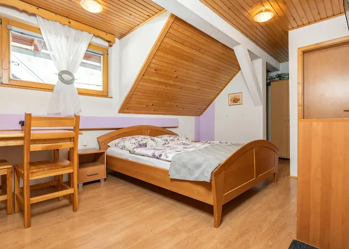 And Hodnik Slavko Appartamento Bohinj